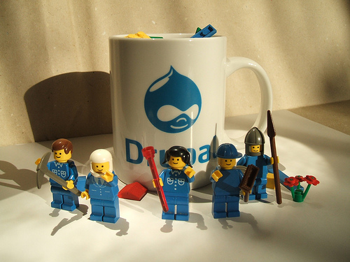 The Drupal Five