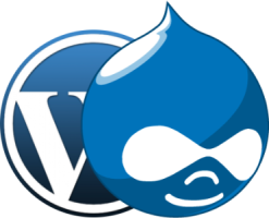 wordpress-to-drupal.png